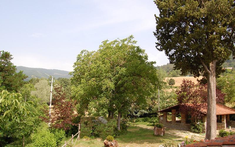 Agriturismo Il Piano Villa Pratovecchio Exterior foto